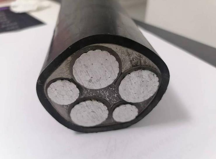 金聯(lián)宇電力電纜的運轉維護的具體問題有哪些 金聯(lián)宇電力電纜的運轉維護的具體問題有哪些
